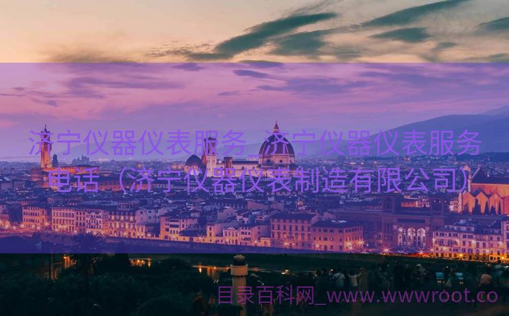 济宁仪器仪表服务_济宁仪器仪表服务电话（济宁仪器仪表制造有限公司）
