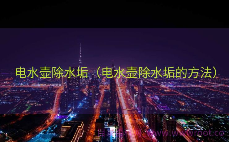 电水壶除水垢（电水壶除水垢的方法）
