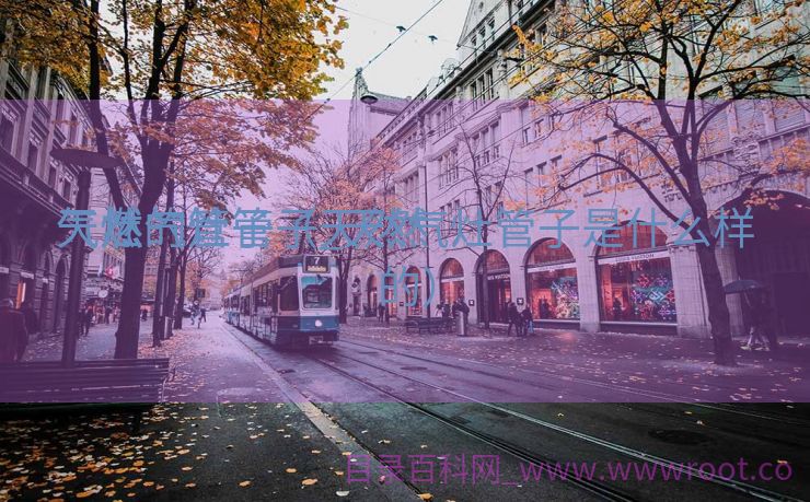 天然

气燃气灶管子_天然

气灶的管子（天然气灶管子是什么样的）
