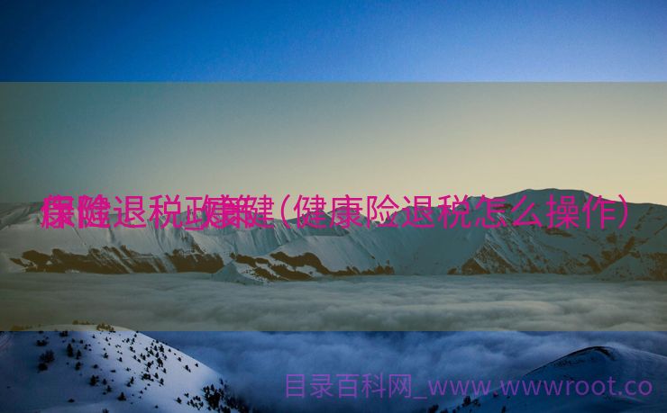 康健
保险退税_康健
保险退税政策（健康险退税怎么操作）