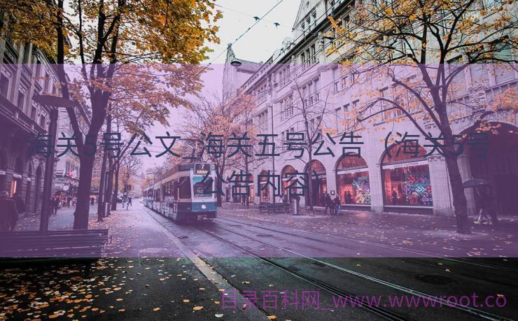 海关5号公文_海关五号公告（海关5号公告内容）
