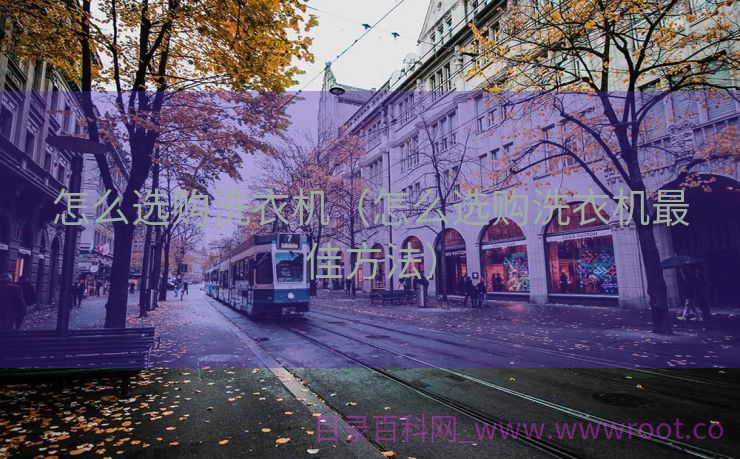 怎么选购洗衣机（怎么选购洗衣机最佳方法）