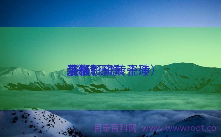 洛杉矶瓷砖干净
装备
_瓷砖干净
呆板
（洛杉矶灰瓷砖）
