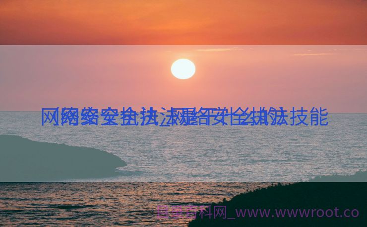 网络安全执法_网络安全执法技能
（网络安全执法是干什么的）