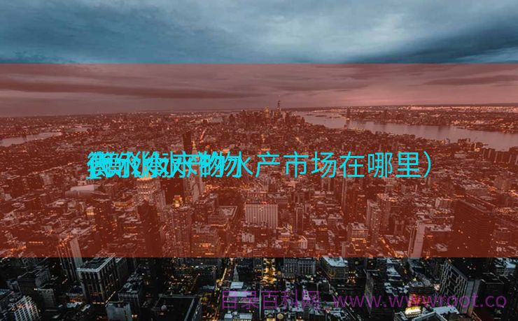 衡水水产物
_衡水水产物
代价
表（衡水的水产市场在哪里）