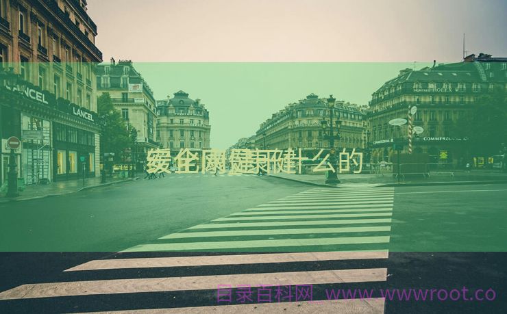 缓化康健
安全网_康健
安全网是干什么的