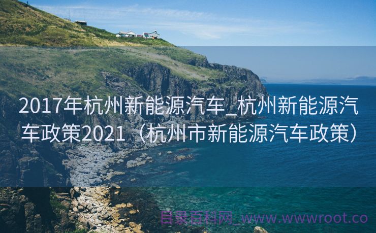 2017年杭州新能源汽车_杭州新能源汽车政策2021（杭州市新能源汽车政策）
