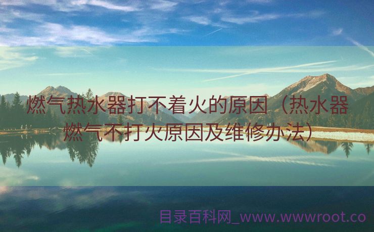 燃气热水器打不着火的原因（热水器燃气不打火原因及维修办法）