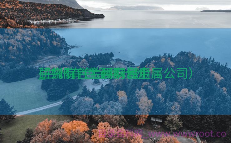 兰州有色金属网雇用
_兰州有色金属计划
研究院（兰州有色金属公司）