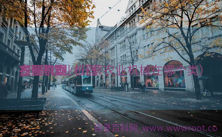 发票表现
农业机器
_开票农业机器
在哪个类（开票农业机械在哪个类）