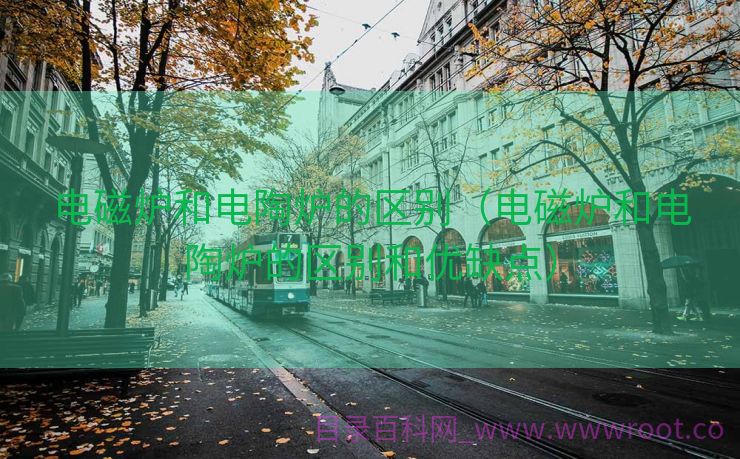 电磁炉和电陶炉的区别（电磁炉和电陶炉的区别和优缺点）