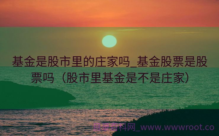 基金是股市里的庄家吗_基金股票是股票吗（股市里基金是不是庄家）