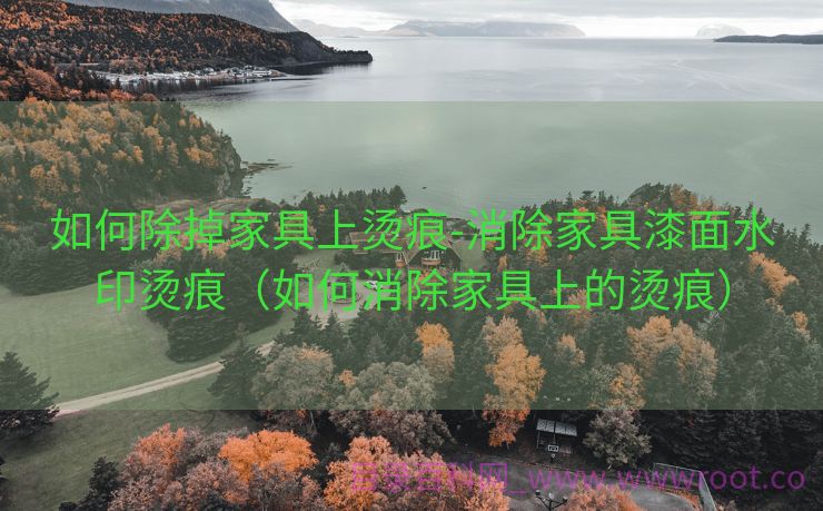 如何除掉家具上烫痕-消除家具漆面水印烫痕（如何消除家具上的烫痕）