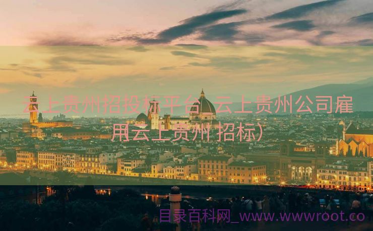 云上贵州招投标平台_云上贵州公司雇用
（云上贵州 招标）