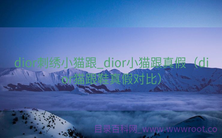 dior刺绣小猫跟_dior小猫跟真假（dior猫跟鞋真假对比）