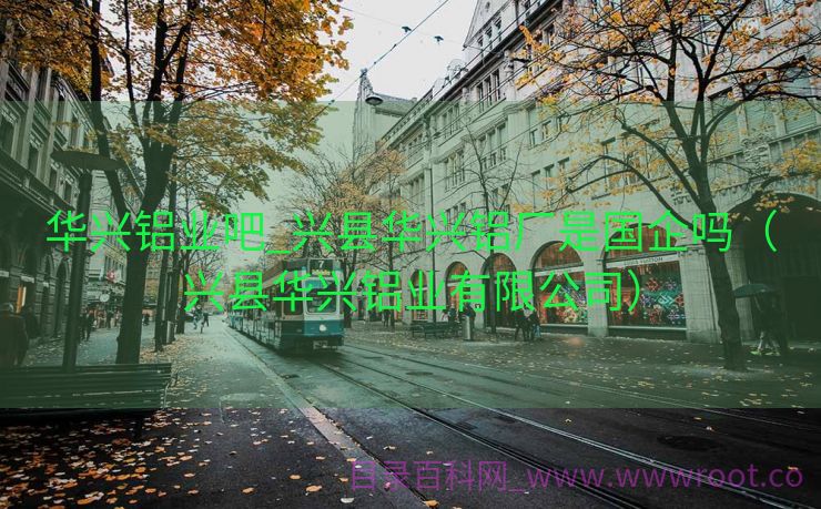 华兴铝业吧_兴县华兴铝厂是国企吗（兴县华兴铝业有限公司）