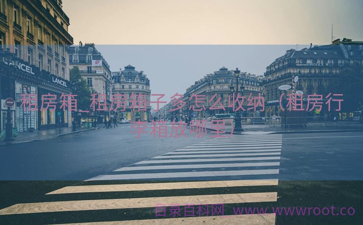 租房箱_租房箱子多怎么收纳（租房行李箱放哪里）