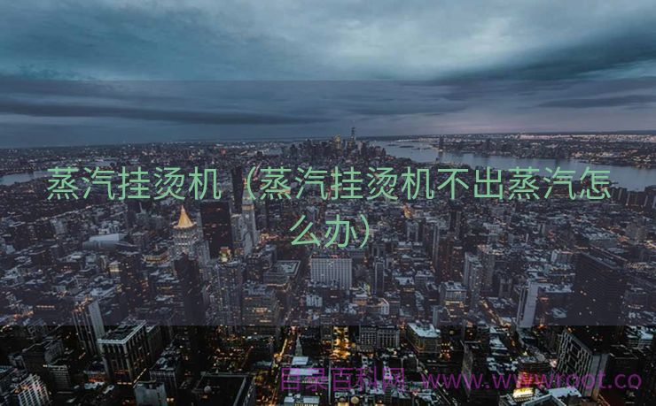 蒸汽挂烫机（蒸汽挂烫机不出蒸汽怎么办）