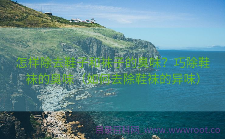 怎样除去鞋子和袜子的臭味？巧除鞋袜的臭味（如何去除鞋袜的异味）