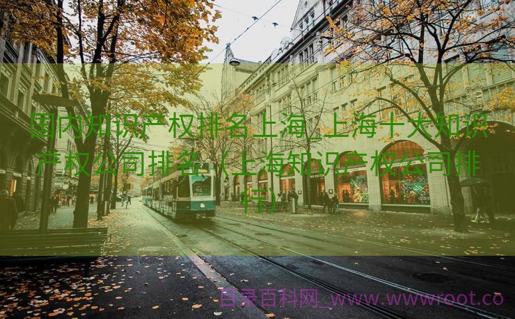 国内知识产权排名上海_上海十大知识产权公司排名（上海知识产权公司排行）
