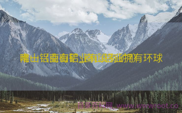 南山铝业有矿_南山铝业拥有环球
唯一（南山铝业有没有矿?）