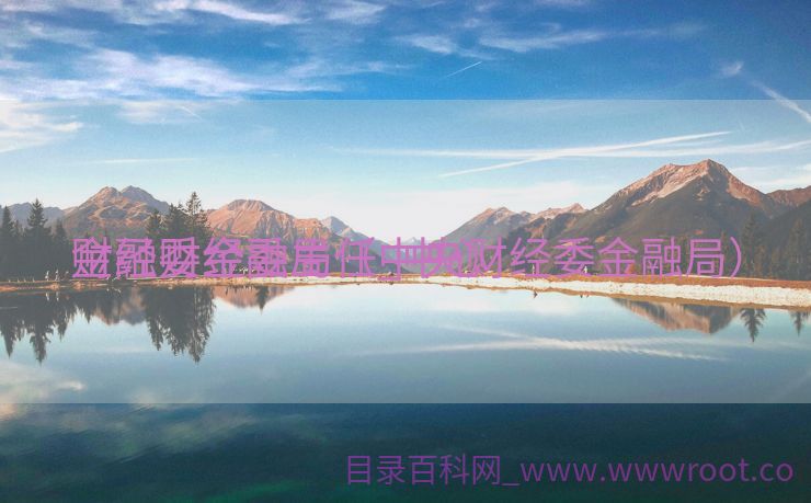 金融财经委主任_中心
财经委金融局（中央财经委金融局）