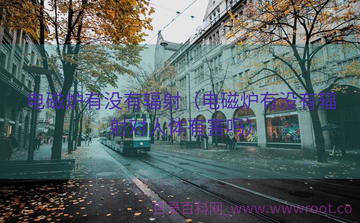 电磁炉有没有辐射（电磁炉有没有辐射对人体有害吗）