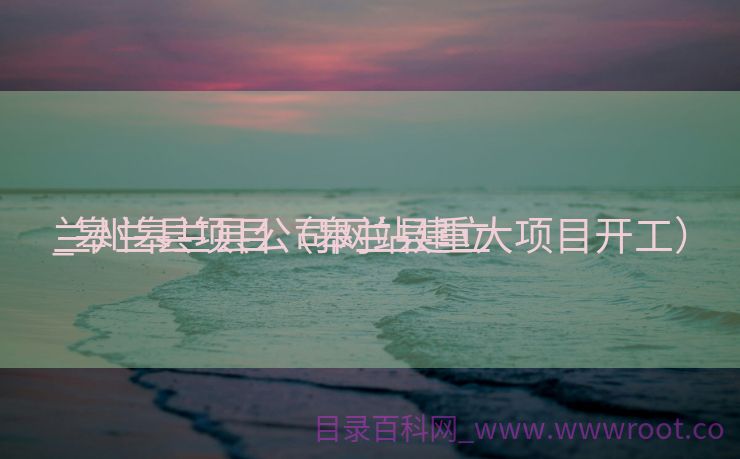 兰州皋兰县公司网站建立
_皋兰县项目（皋兰县重大项目开工）