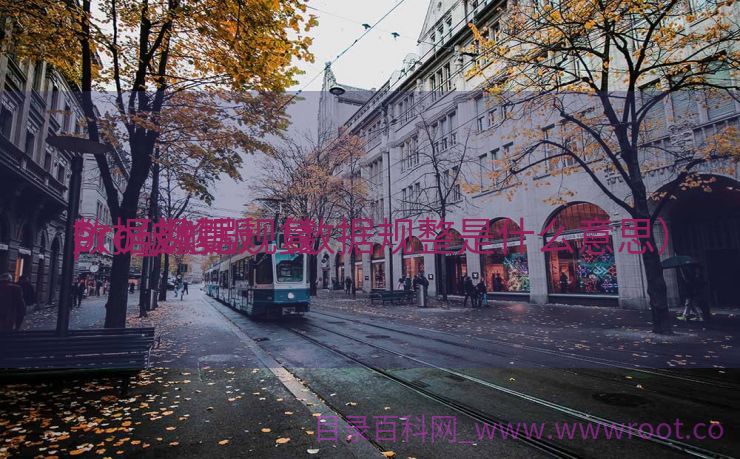 数据规复
pro_数据规复
Pro破解版（数据规整是什么意思）