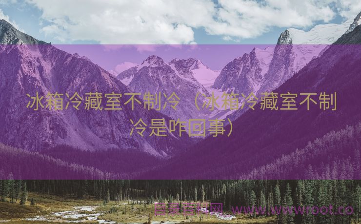 冰箱冷藏室不制冷（冰箱冷藏室不制冷是咋回事）