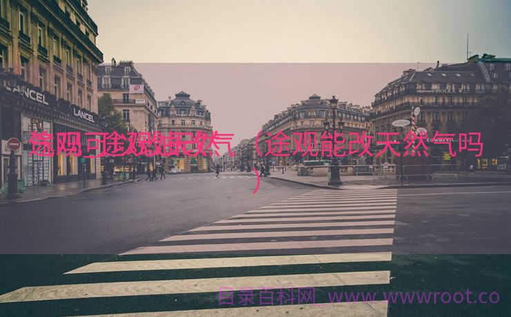 途观可以改天然

气吗_途观油改气（途观能改天然气吗）