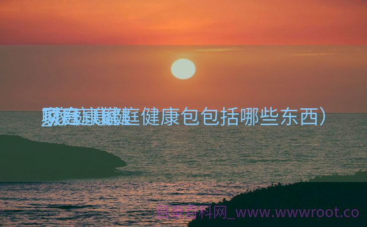 家庭康健
财产
_家庭康健
项目（家庭健康包包括哪些东西）