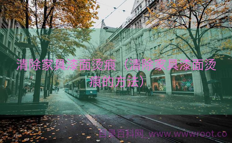 清除家具漆面烫痕（清除家具漆面烫痕的方法）