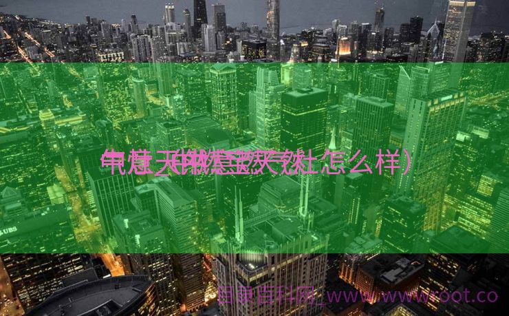 中意天然

气灶_中燃宝天然

气灶（中意燃气灶怎么样）