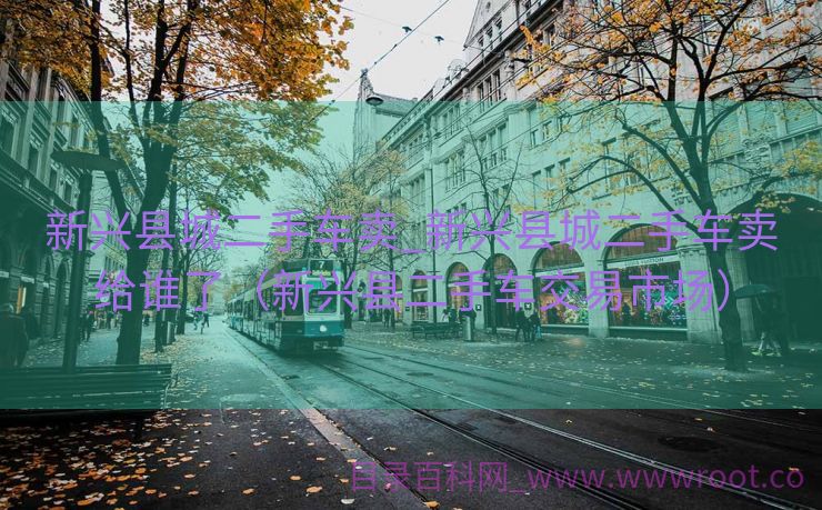 新兴县城二手车卖_新兴县城二手车卖给谁了（新兴县二手车交易市场）