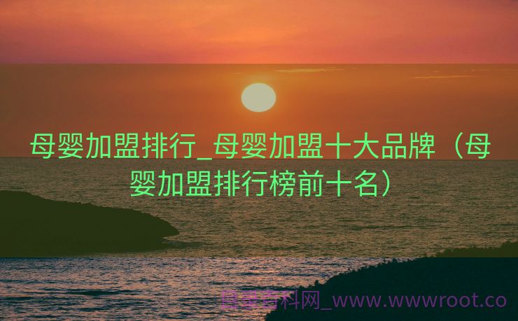 母婴加盟排行_母婴加盟十大品牌（母婴加盟排行榜前十名）