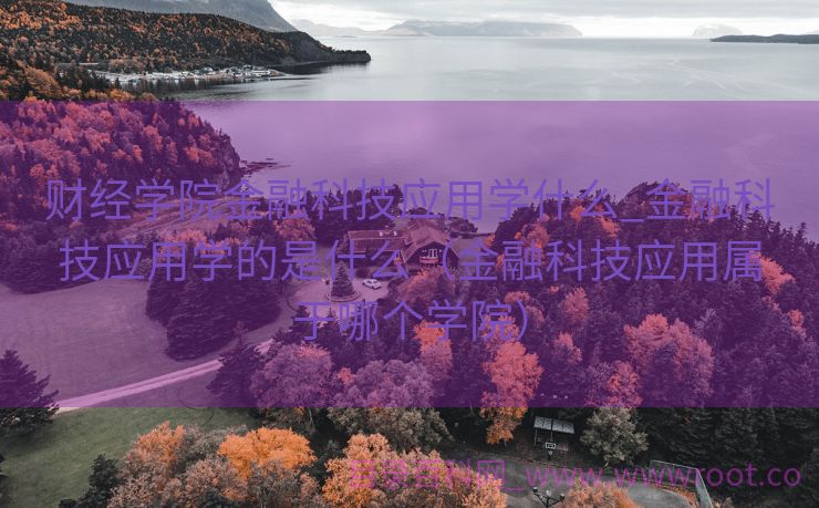 财经学院金融科技应用学什么_金融科技应用学的是什么（金融科技应用属于哪个学院）