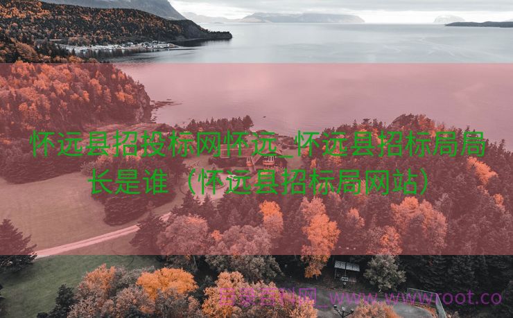 怀远县招投标网怀远_怀远县招标局局长是谁（怀远县招标局网站）