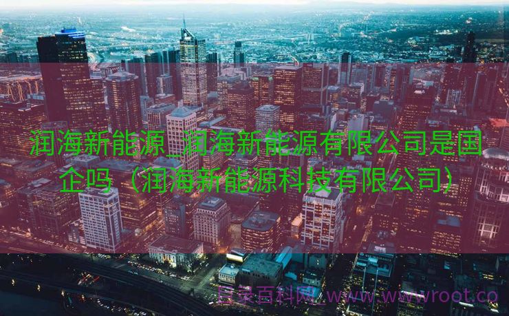 润海新能源_润海新能源有限公司是国企吗（润海新能源科技有限公司）