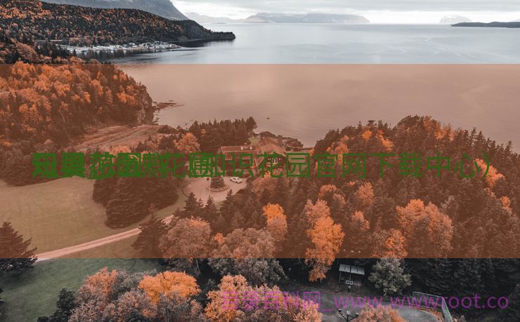 知识花圃
母婴_知识花圃
玩具怎么样（知识花园官网下载中心）