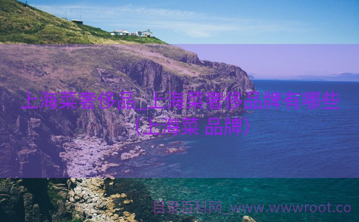 上海菜奢侈品_上海菜奢侈品牌有哪些（上海菜 品牌）
