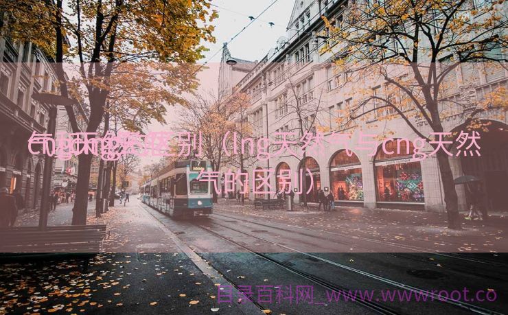 cng天然

气_cng天然

气和lng的区别（lng天然气与cng天然气的区别）