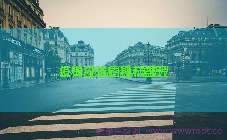 怎样投诉招投标署理
公司_投诉招标署理
公司应该向哪个部分
投诉