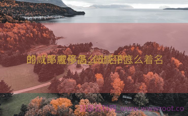 郎咸平奢侈品_郎咸平怎么着名
的（郎咸平怎么出名的）