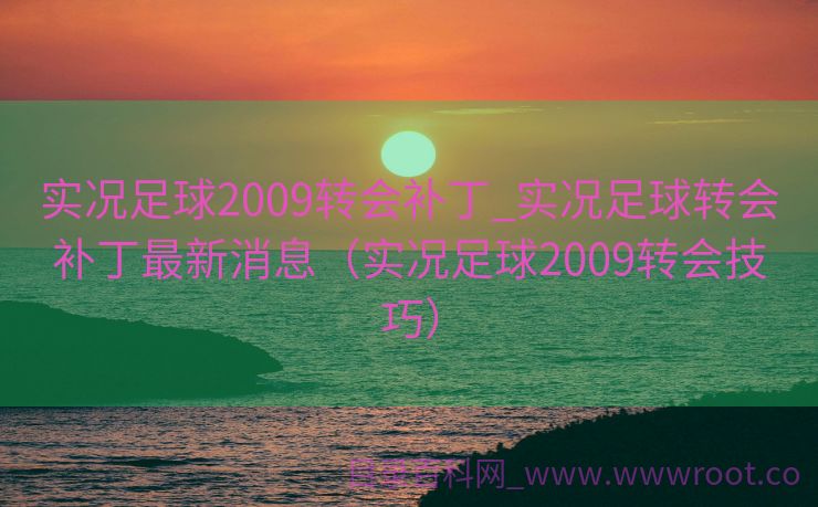 实况足球2009转会补丁_实况足球转会补丁最新消息（实况足球2009转会技巧）