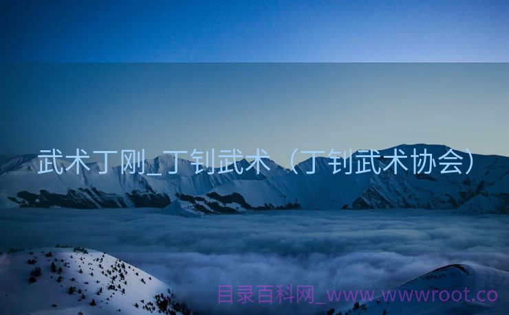武术丁刚_丁钊武术（丁钊武术协会）