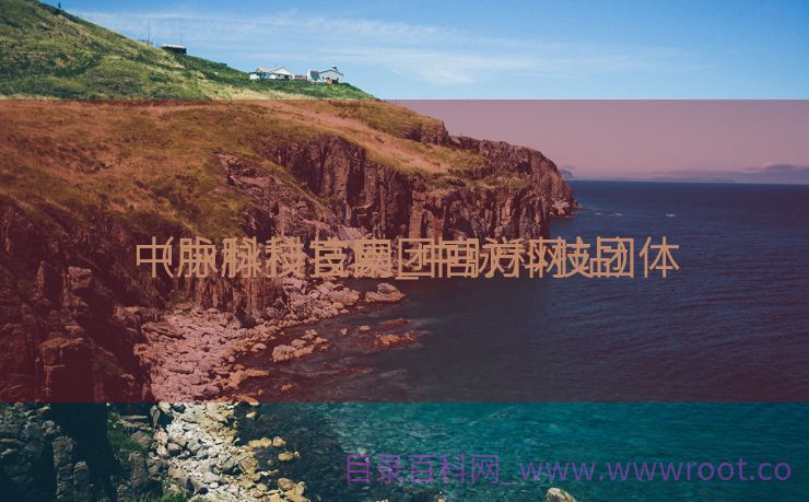 中脉科技官网_中脉科技团体
（中脉科技集团官方网站）
