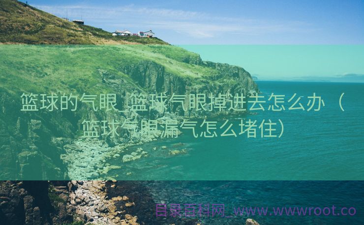 篮球的气眼_篮球气眼掉进去怎么办（篮球气眼漏气怎么堵住）