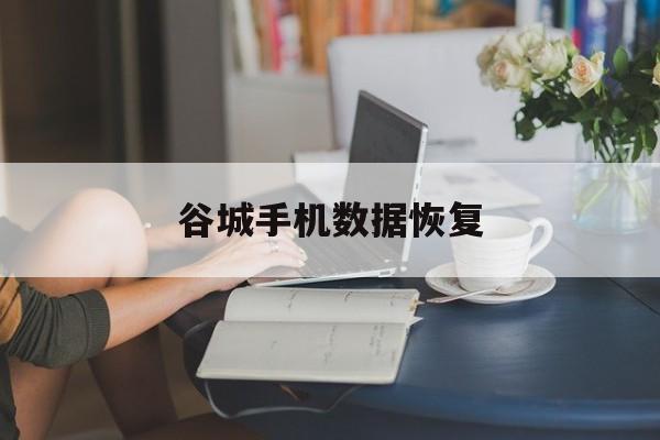 谷城手机数据规复
的简单

先容
 数据恢复
