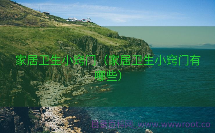 家居卫生小窍门（家居卫生小窍门有哪些）